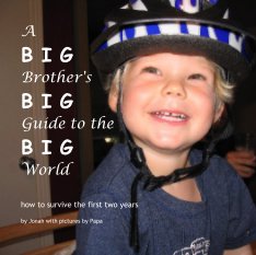 A Big Brother's Big Guide To The Big World book cover