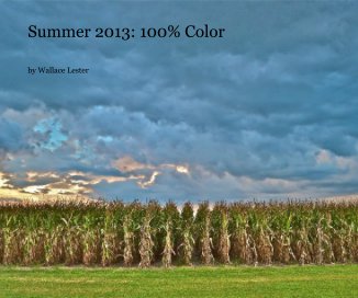 Summer 2013: 100% Color book cover