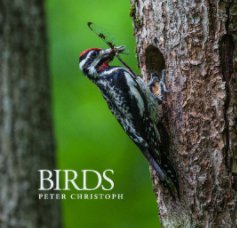 Birds - book cover