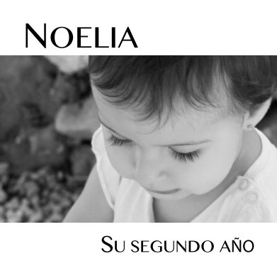 Noelia book cover