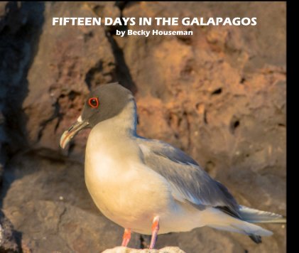 FIFTEEN DAYS IN THE GALAPAGOS by Becky Houseman book cover