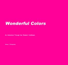 Wonderful Colors book cover