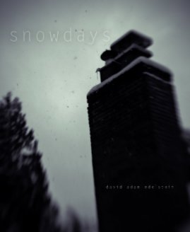 snowdays book cover