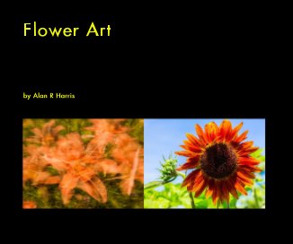 Flower Art book cover