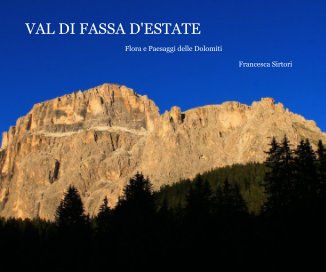 VAL DI FASSA D'ESTATE book cover