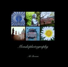 Mondophotography 2013 book cover
