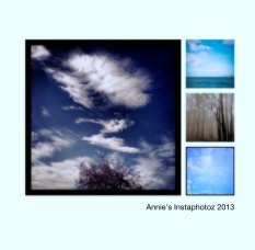 Annie's Instaphotoz 2013 book cover