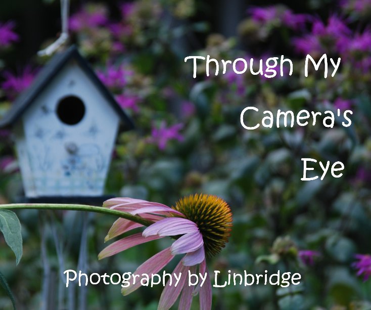 View Through My Camera's Eye by Linda B. Bridgeman