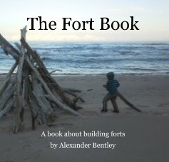 The Fort Book book cover