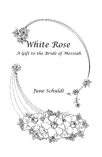 View White Rose by June Schuldt
