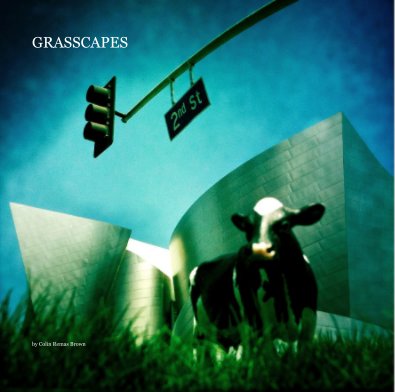 GRASSCAPES book cover