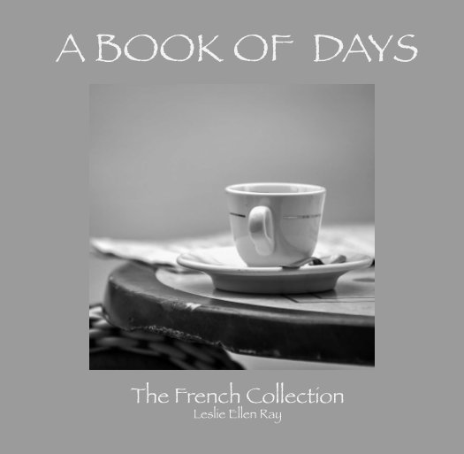 View A BOOK OF DAYS by Leslie Ellen Ray