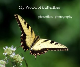 My World of Butterflies book cover