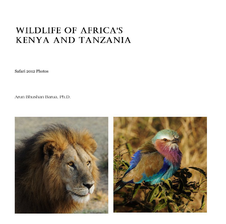 Wildlife of Africa's Kenya and Tanzania nach Arun Bhushan Barua . anzeigen