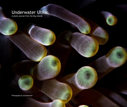 Underwater Utila: A photo journal from the Bay Islands book cover