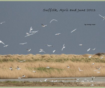 Suffolk, April and June 2013 book cover