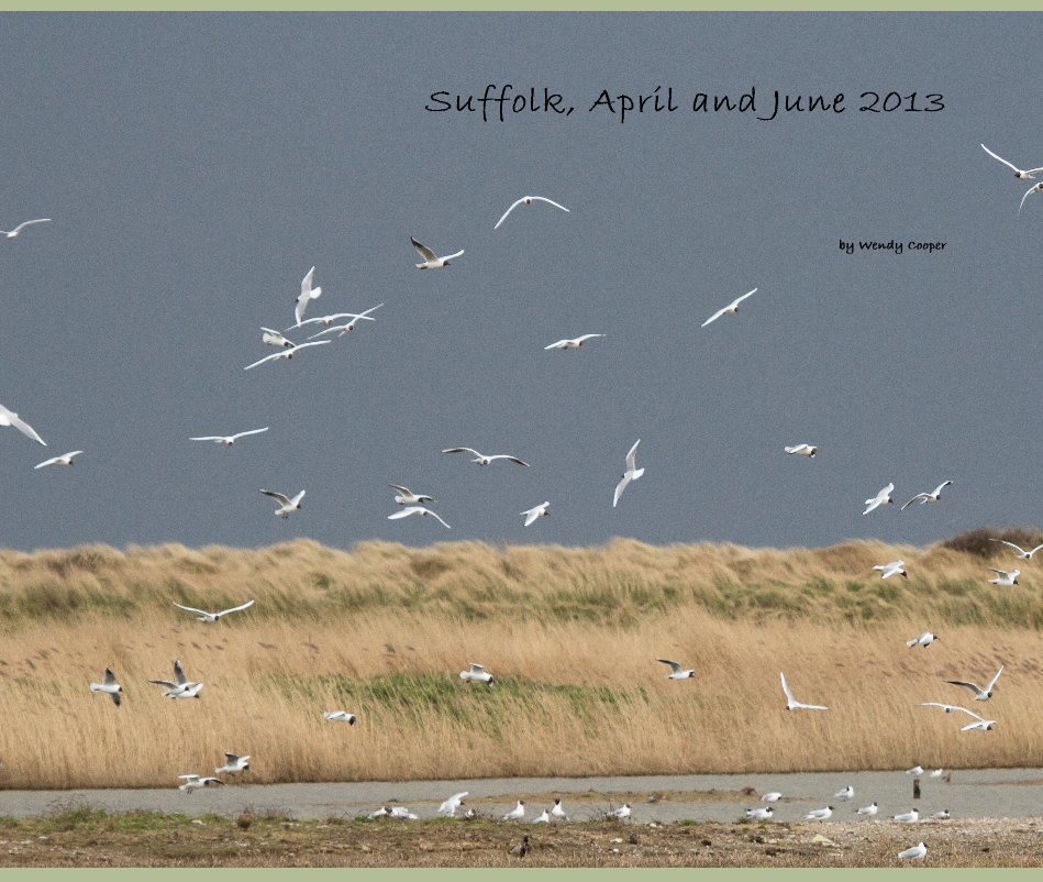 Ver Suffolk, April and June 2013 por Wendy Cooper