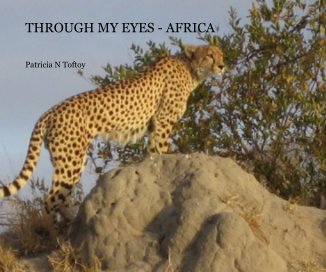 THROUGH MY EYES - AFRICA book cover
