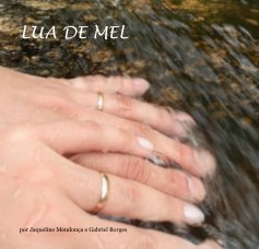 LUA DE MEL book cover