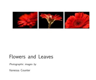 Flowers and Leaves book cover