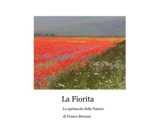La Fiorita book cover