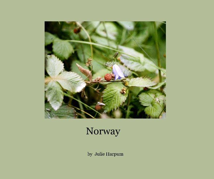 Ver Norway por Julie Harpum