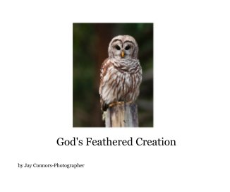 God's Feathered Creation book cover