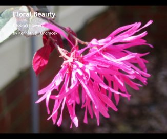 Floral Beauty book cover
