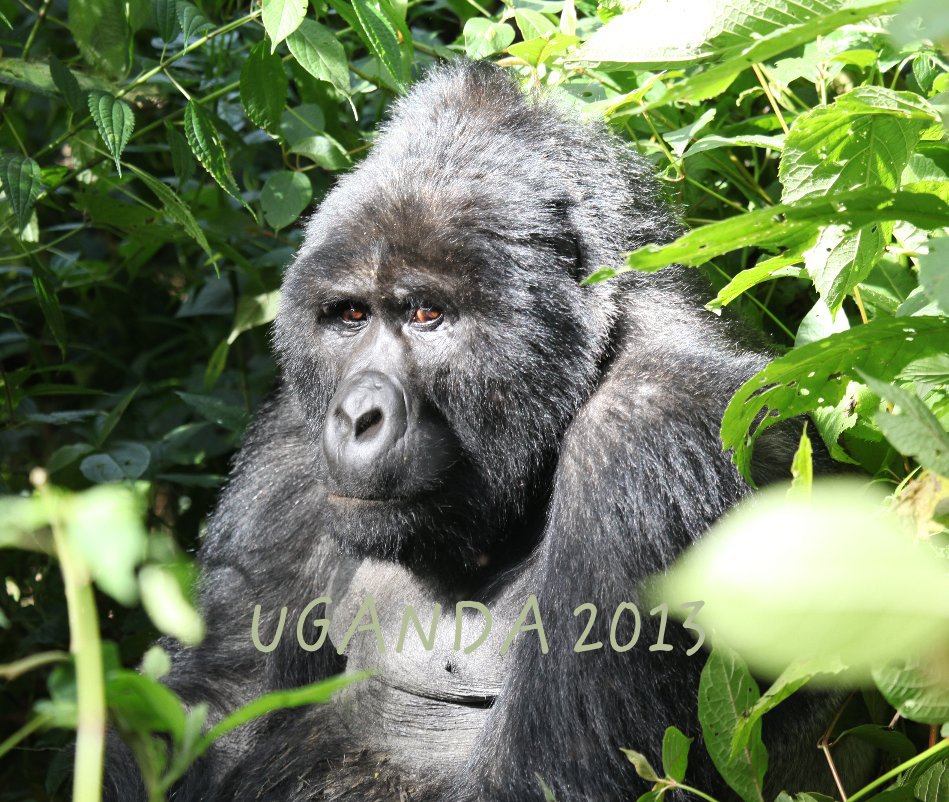 View UGANDA 2013 by chrisdesmet