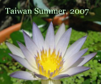 Taiwan Summer, 2007 book cover