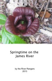 Springtime on the James River book cover