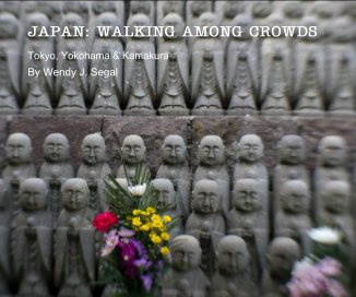 JAPAN: WALKING AMONG CROWDS book cover