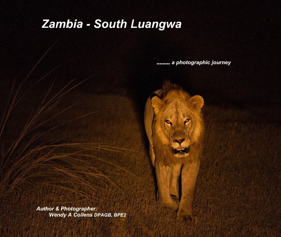 View Zambia - South Luangwa by Author & Photographer: Wendy A Collens DPAGB, BPE2