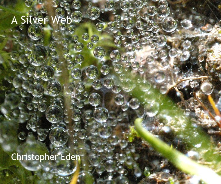 View A Silver Web by Christopher Eden