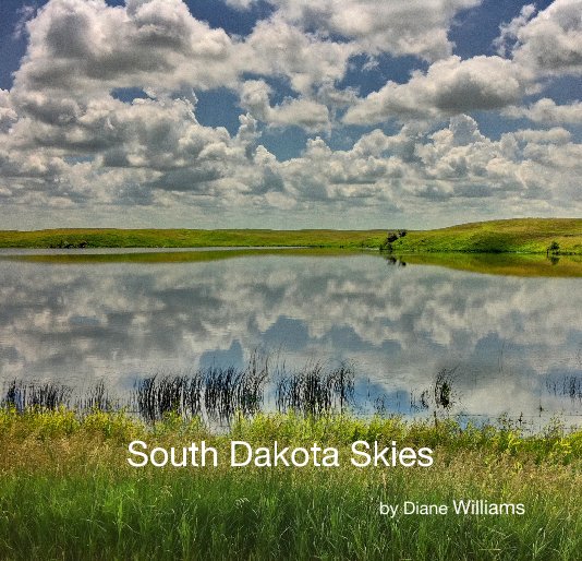 View South Dakota Skies by Diane Williams