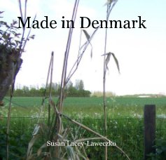 Made in Denmark book cover