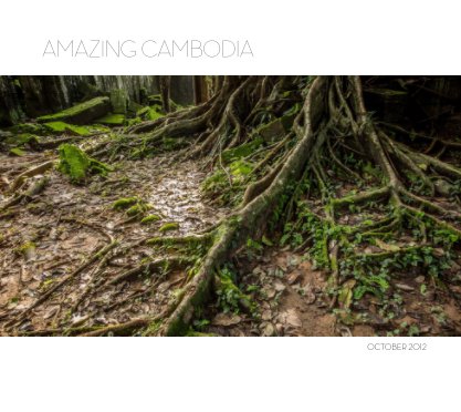 Amazing Cambodia book cover