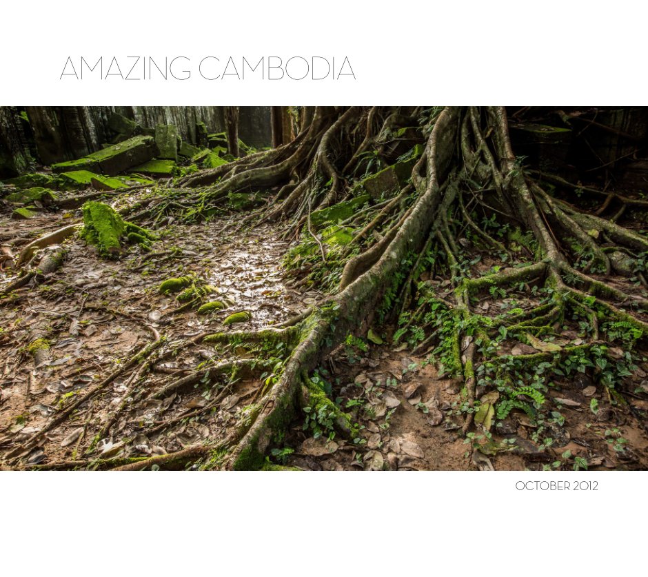 View Amazing Cambodia by Sharon Graham