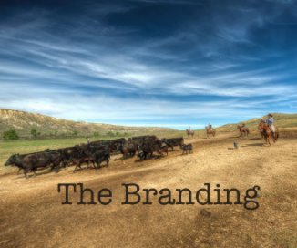 The Branding book cover