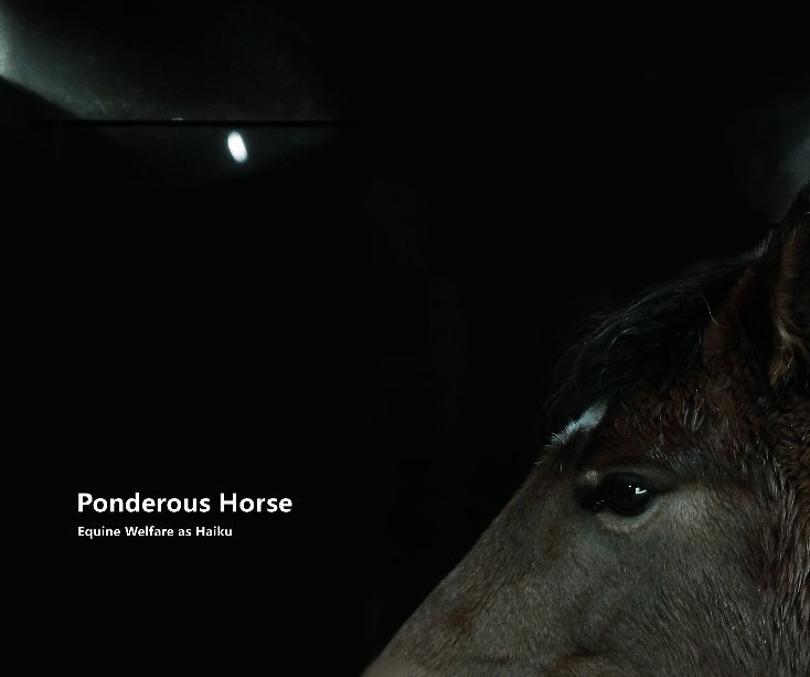 View Ponderous Horse by Jack Taylor