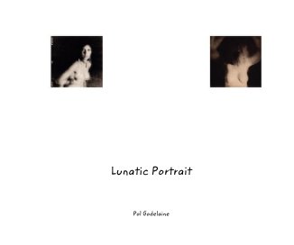 Lunatic Portrait book cover