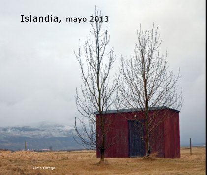 Islandia, mayo 2013 book cover