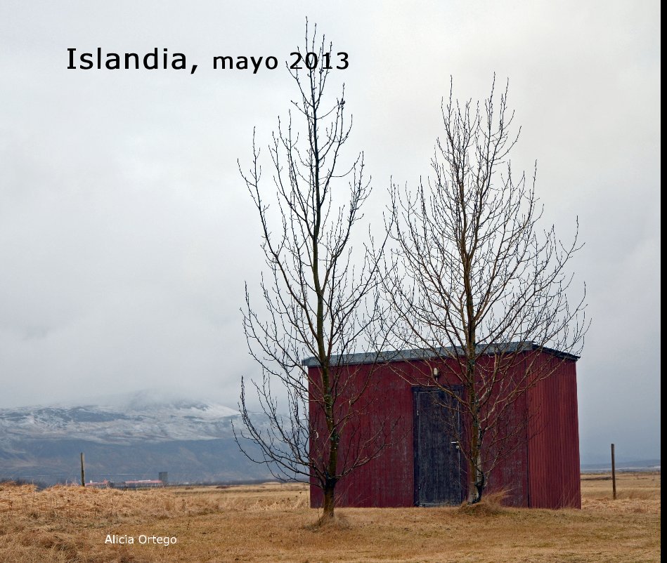 View Islandia, mayo 2013 by Alicia Ortego