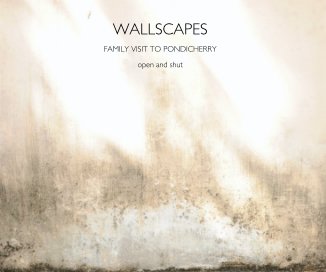 WALLSCAPES book cover