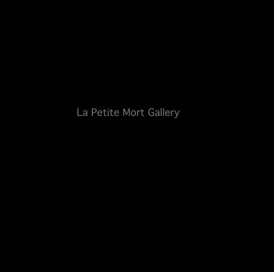 la petite mort gallery 5 book cover
