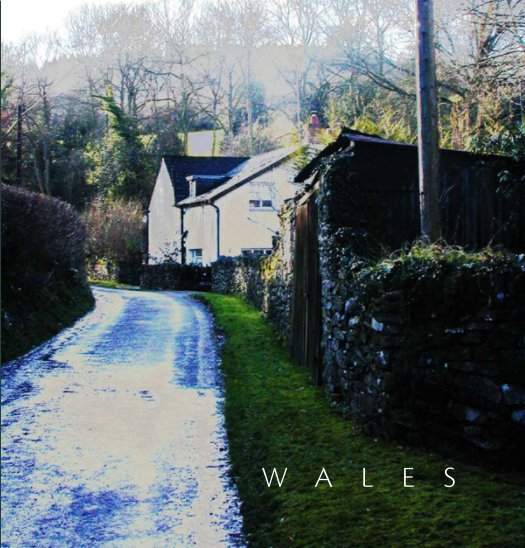 View Wales by Donna Miller