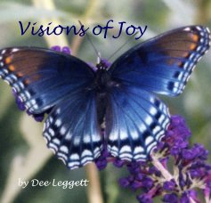 Visions of Joy book cover
