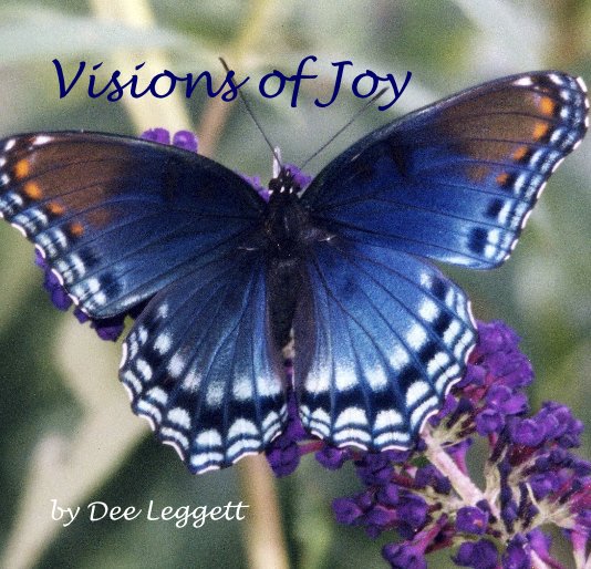 Bekijk Visions of Joy op Dee Leggett