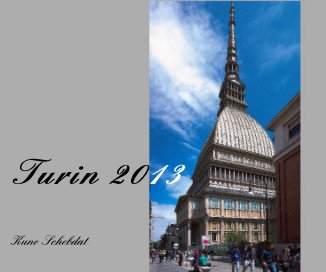 Turin 2013 book cover
