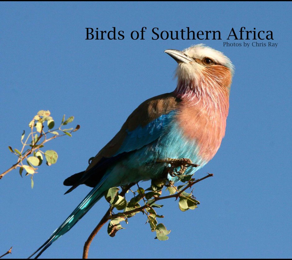 Visualizza Birds of Southern Africa di Chris Ray